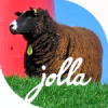 JollaPhot's picture